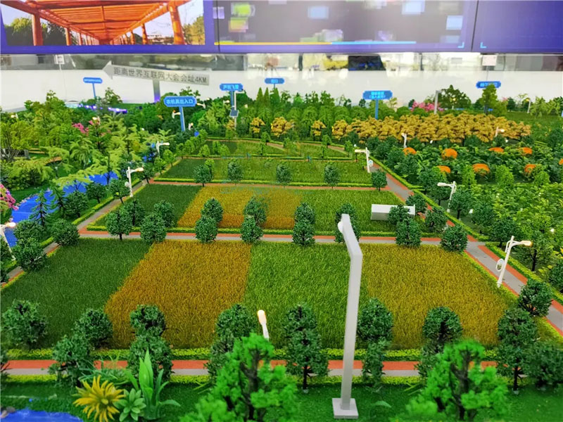 ؕrIɳPģ,NֲɳPģչʾ